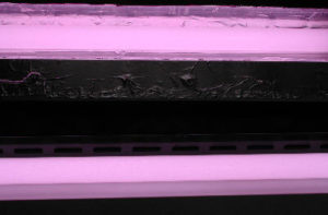 インバーター化したアクアリウム用照明の点灯実験