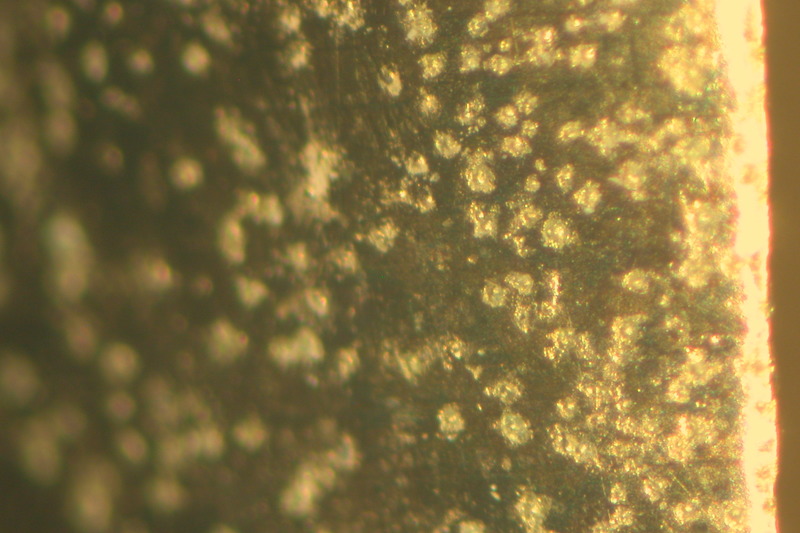 錆びてしまった金メッキの顕微鏡拡大