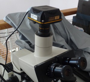 顕微鏡カメラ Touptek LCMOS05100KPA をBH-2に取り付けた様子