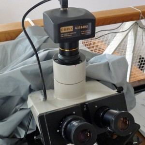 顕微鏡カメラ OMAX A35140U をBH-2に取り付けたところ