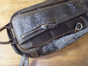 カビてしまったカバン